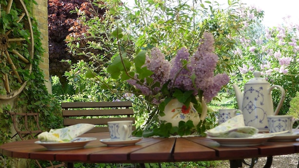 Une table de jardin ornée d’un vase de fleurs, d’une théière et de tasses, le tout entouré de verdure et complété par un banc.