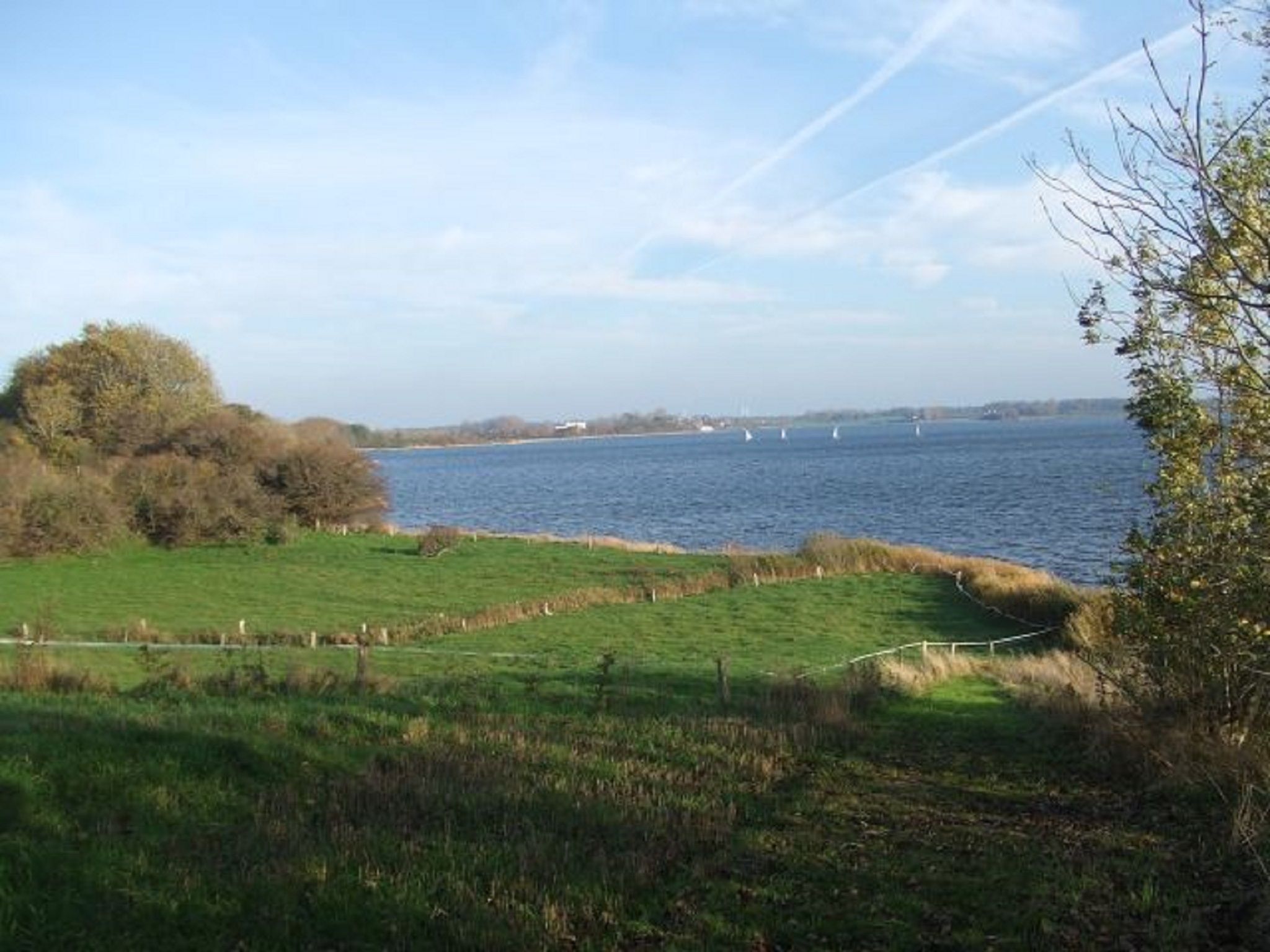 A natural landscape with a body of water, grassy areas, and trees.