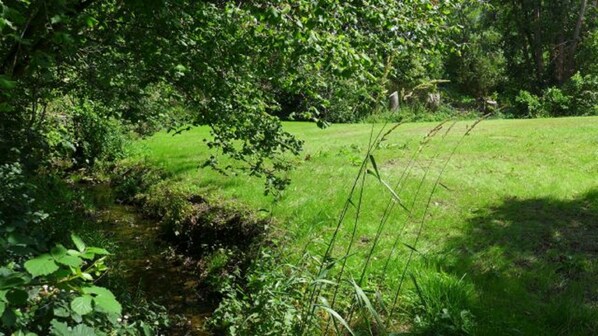 Eine natürliche Landschaft mit einem Bach, einer Wiese und dichtem Blattwerk.