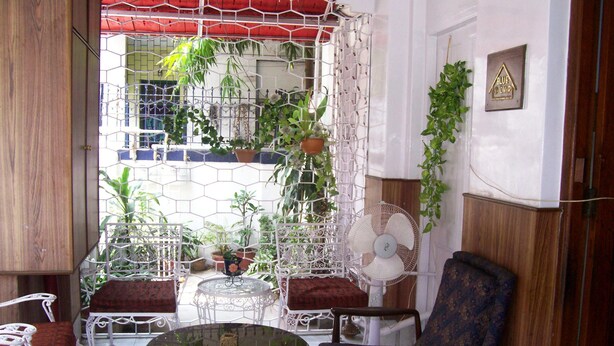 A room with a glass table, two chairs, a fan, and potted plants. - Blue Chip Guest House Kolkata (Kolkata)