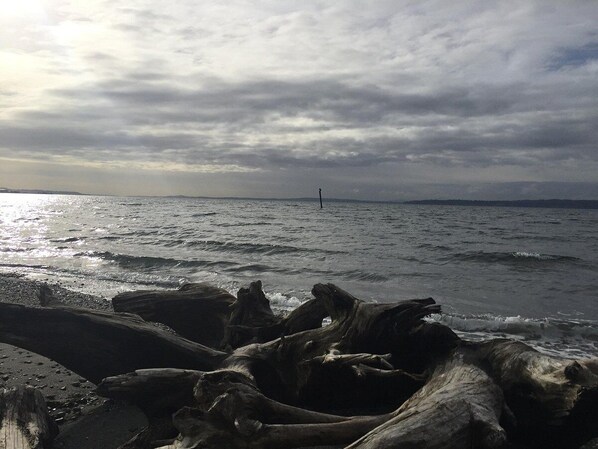 Beach - Long Term Stay Discount. Business, Couples and Families Welcome/Ground Floor (Bothell)