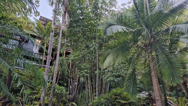 A pool surrounded by tropical vegetation and a statue.