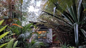 A secluded cabin surrounded by dense tropical foliage, with a gravel path leading to the entrance.