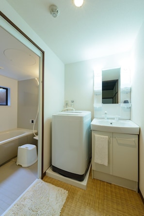Combined shower/tub, hair dryer