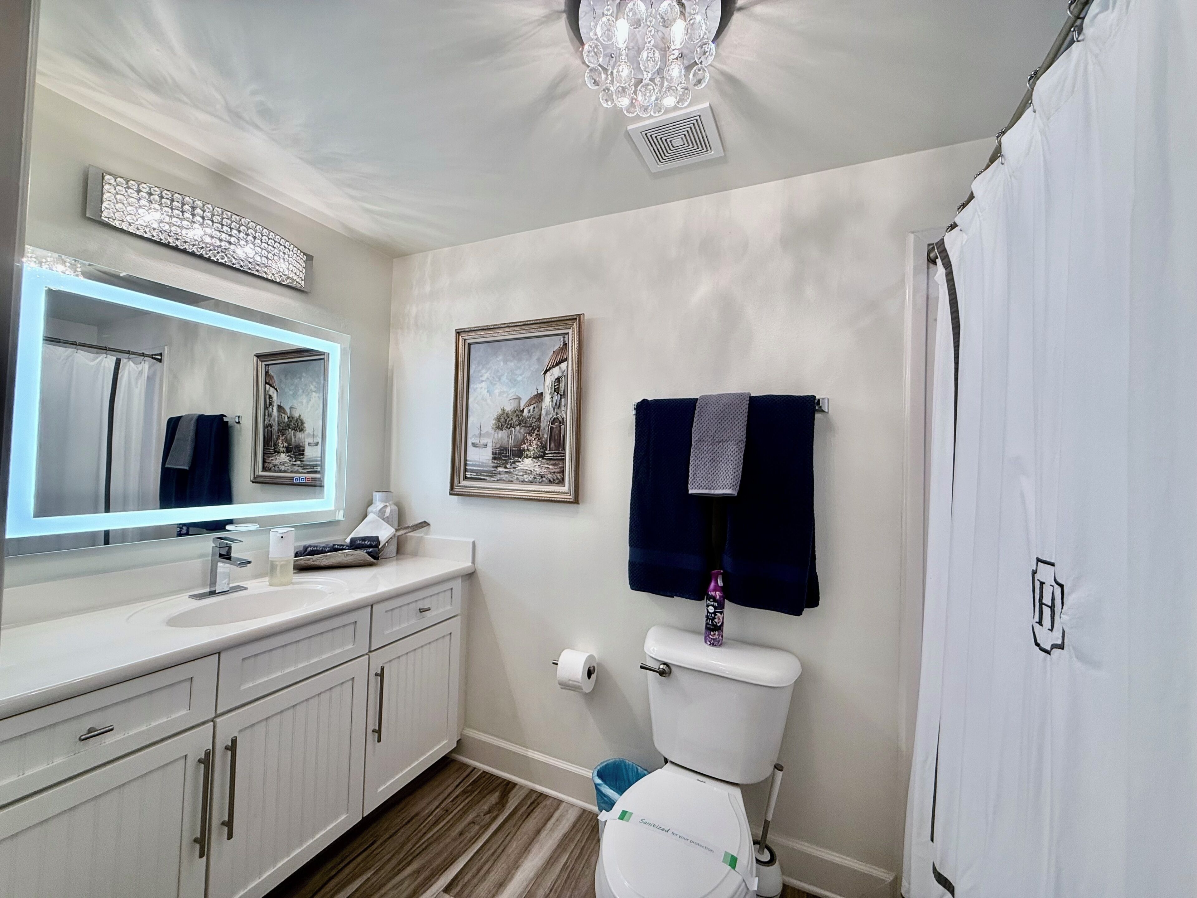 Ein Badezimmer mit weißer Toilette, einem Waschbecken mit Spiegel, einem gerahmten Bild an der Wand und einer Duschvorhang.
