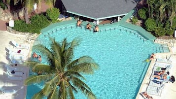 Vista aérea de una piscina rodeada de palmeras y sillas de descanso.