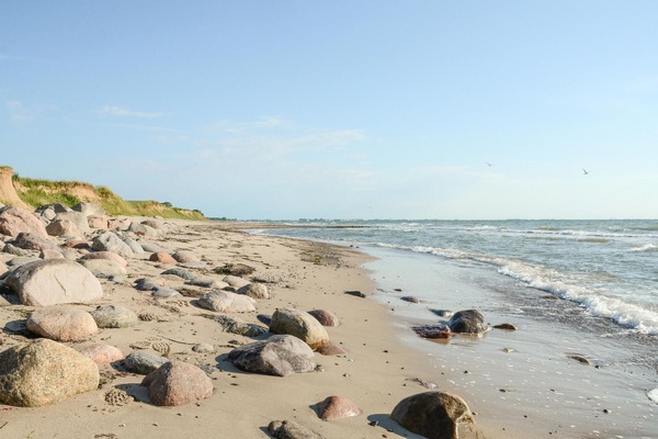 Vlak bij het strand, vissen