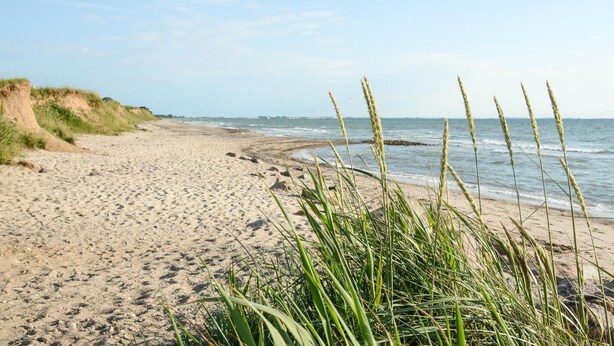 A sandy beach with dunes and grass in the foreground. - Beautiful home in Süssau/Ostsee (Süssau/Ostsee)