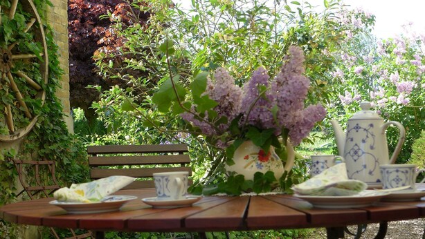 A garden table with a vase of flowers, a teapot, and cups, surrounded by greenery and a bench.