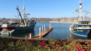 A marina with boats docked, a wooden pier, and a clear blue sky. - Contemporary Home In The Ventura Keys (Ventura)