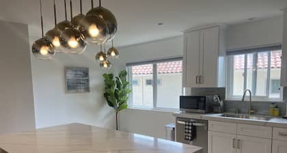 Contemporary Home In The Ventura Keys