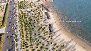 An aerial view of a beach with a road lined with palm trees, boats in the water, and buildings in the background. - Aroma Ha Long Hostel (Bai Chay)
