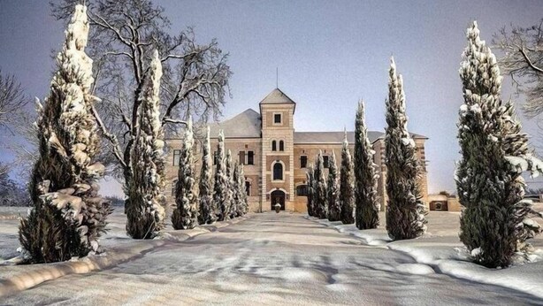 A large, historic building with a central tower, surrounded by snow-covered trees. - Hotel Cardinal (Vintu de Jos)