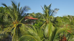 Front of property - Big K Hostel (Karimun Jawa)
