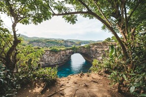 Un paisaje natural con un río, riscos rocosos y vegetación densa.