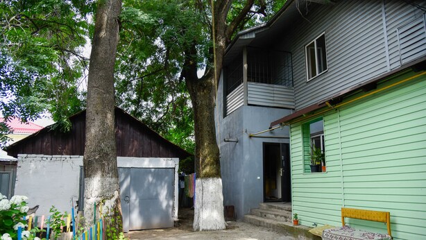 A courtyard with a tree, a bench, and a building with a green exterior. - Almaty Hostel Dom (Almaty)