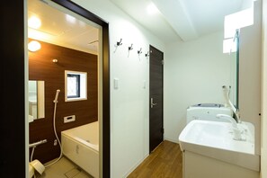 Combined shower/tub, hair dryer