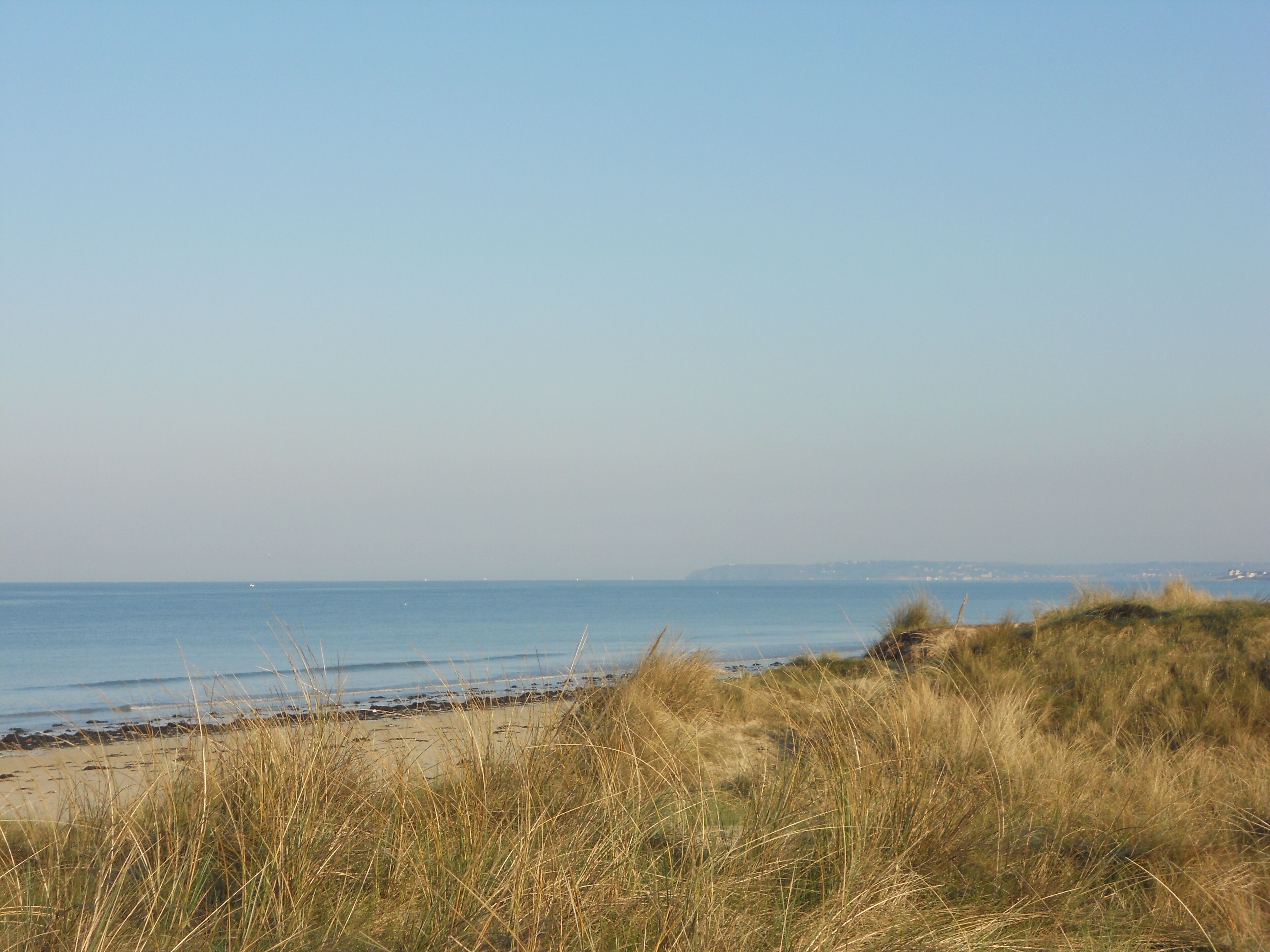 A beach with sand and grass in the foreground, and a clear blue sky.