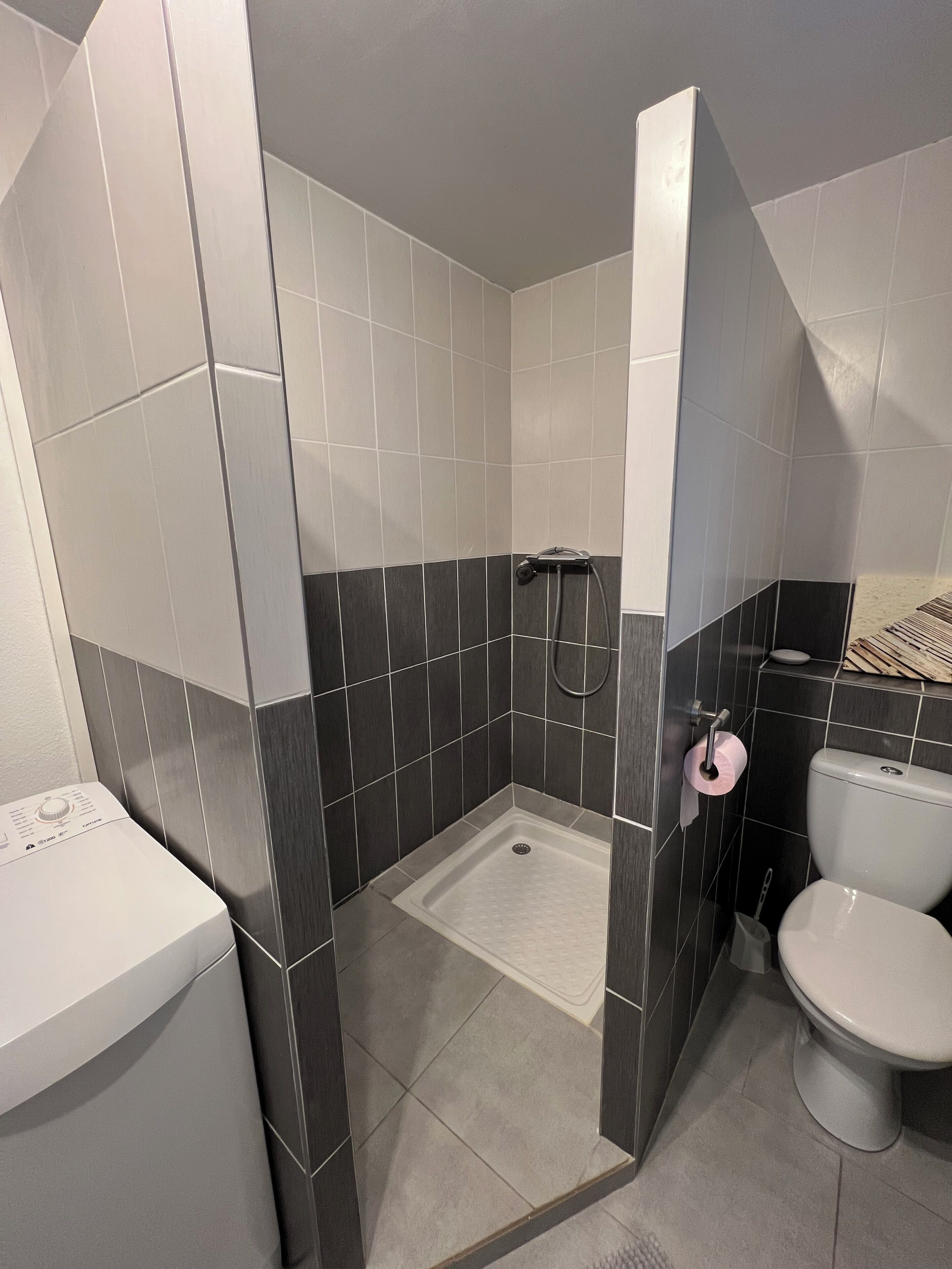 Ein Badezimmer mit Dusche, Toilette und Waschmaschine.