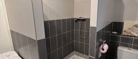 Ein Badezimmer mit Dusche, Toilette und Waschmaschine.