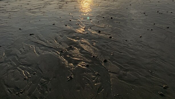 A beach with the sun setting over the horizon, reflecting on the wet sand.