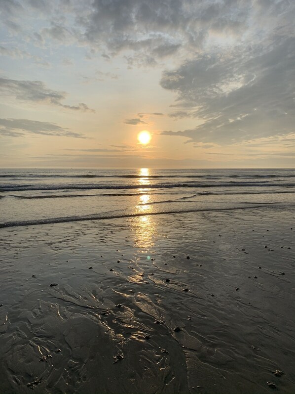 On the beach, sun-loungers