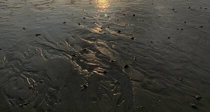 House between sea and countryside in Normandy near the D-day landing Beaches