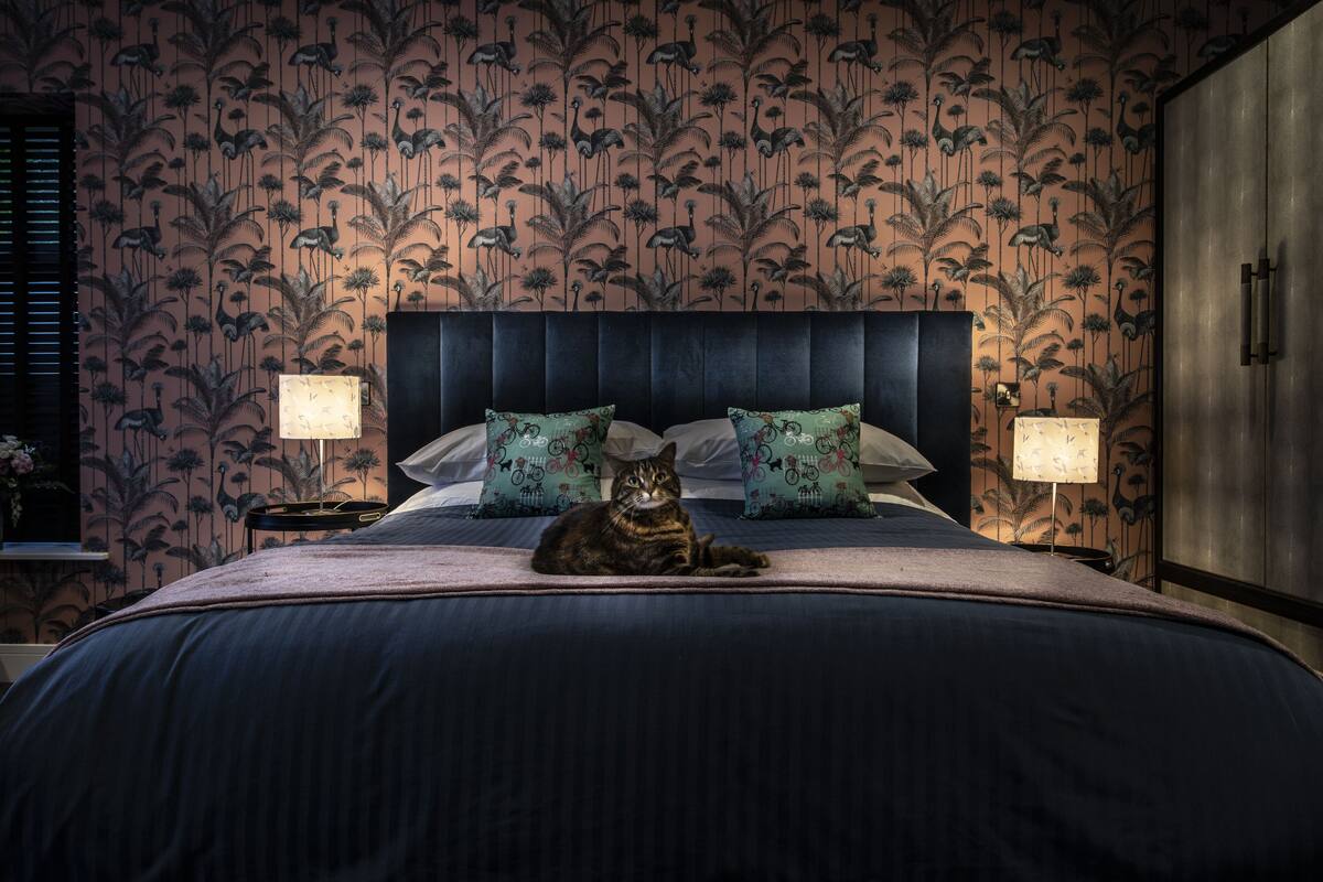 Habitación romántica | Sábanas de algodón egipcio y ropa de cama de alta calidad
