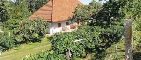 Área da propriedade