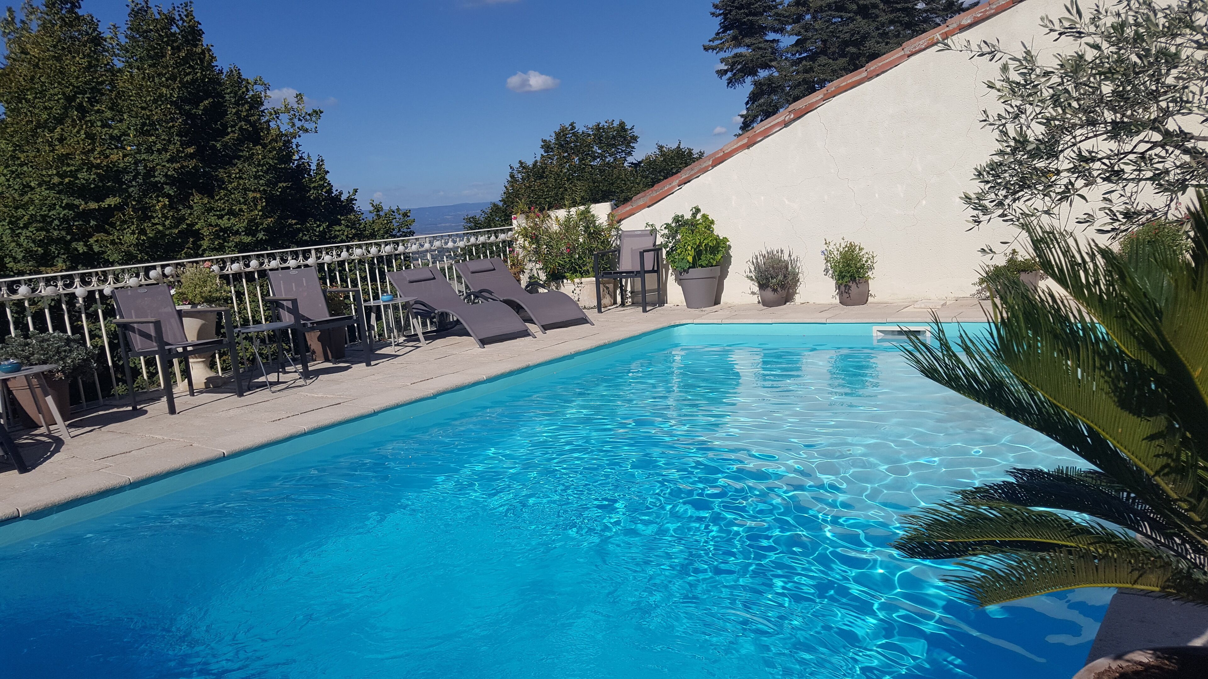 室外泳池；泳池傘、躺椅