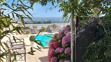 Una piscina al aire libre, sombrillas, sillones reclinables de piscina