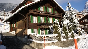 A wooden chalet with green shutters, a stone wall, and a snow-covered tree in front.