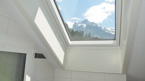 A skylight with a view of snow-capped mountains.