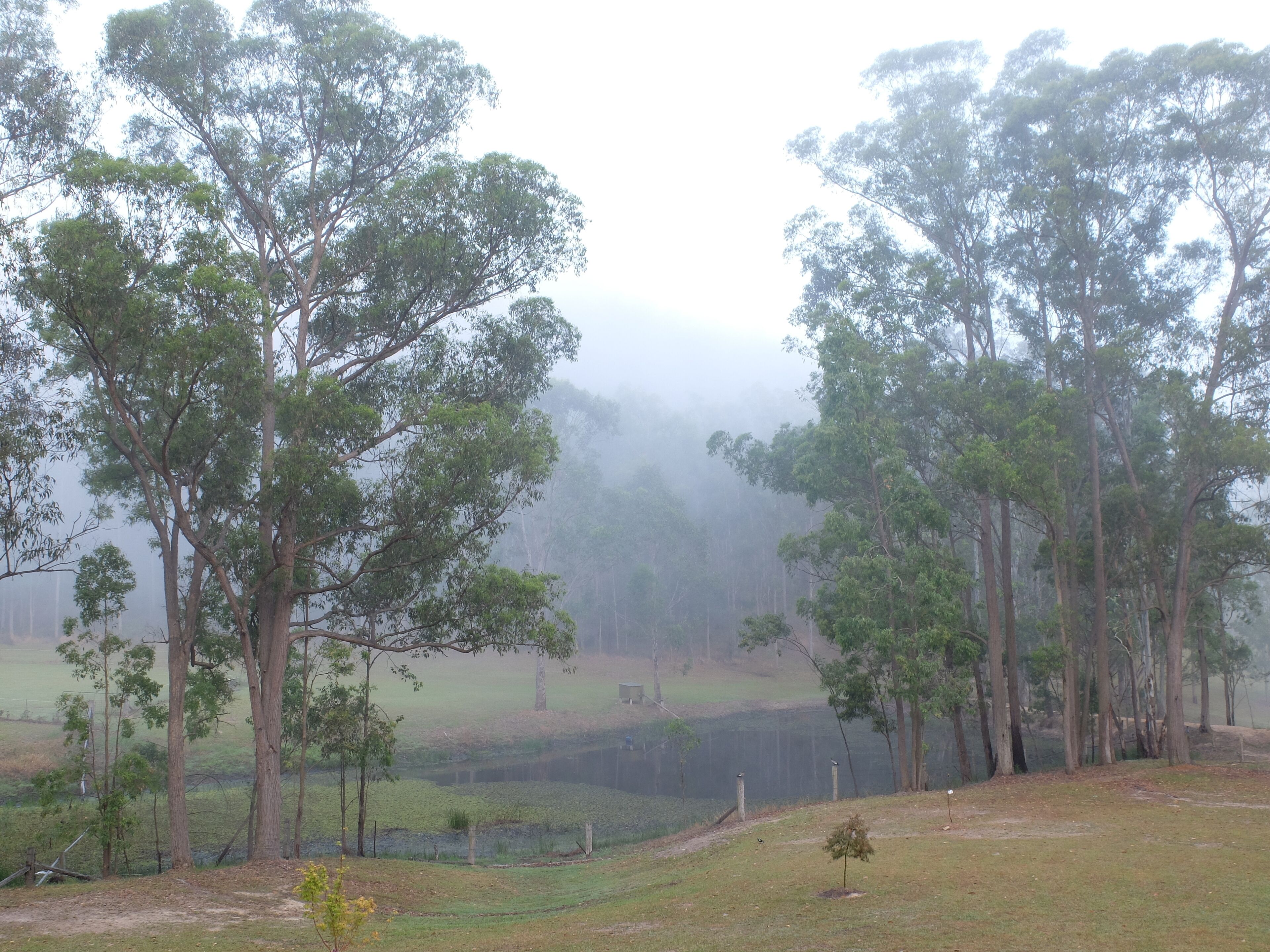 Secluded escape in Historic Wollombi — image 27