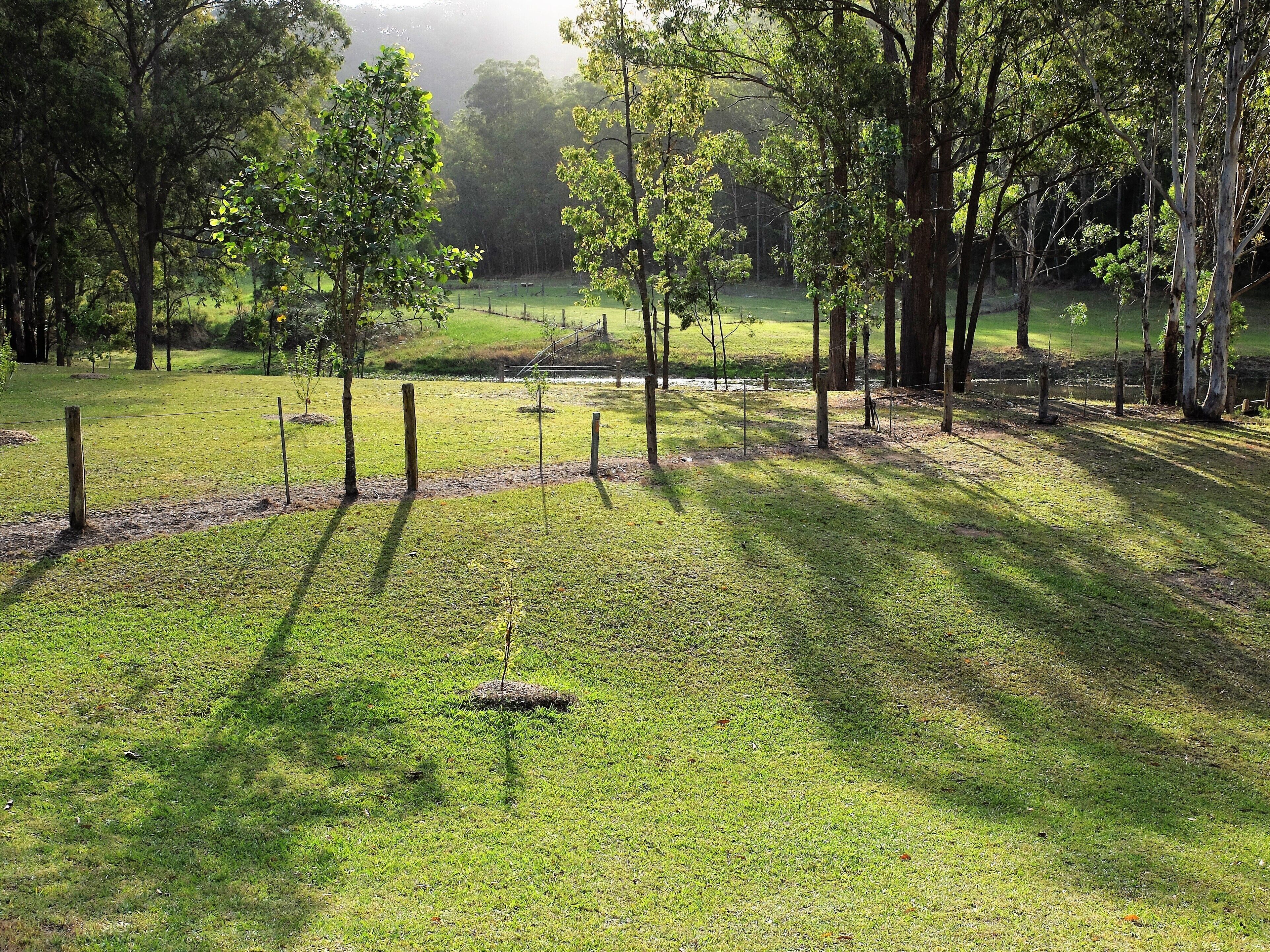 Secluded escape in Historic Wollombi — image 4