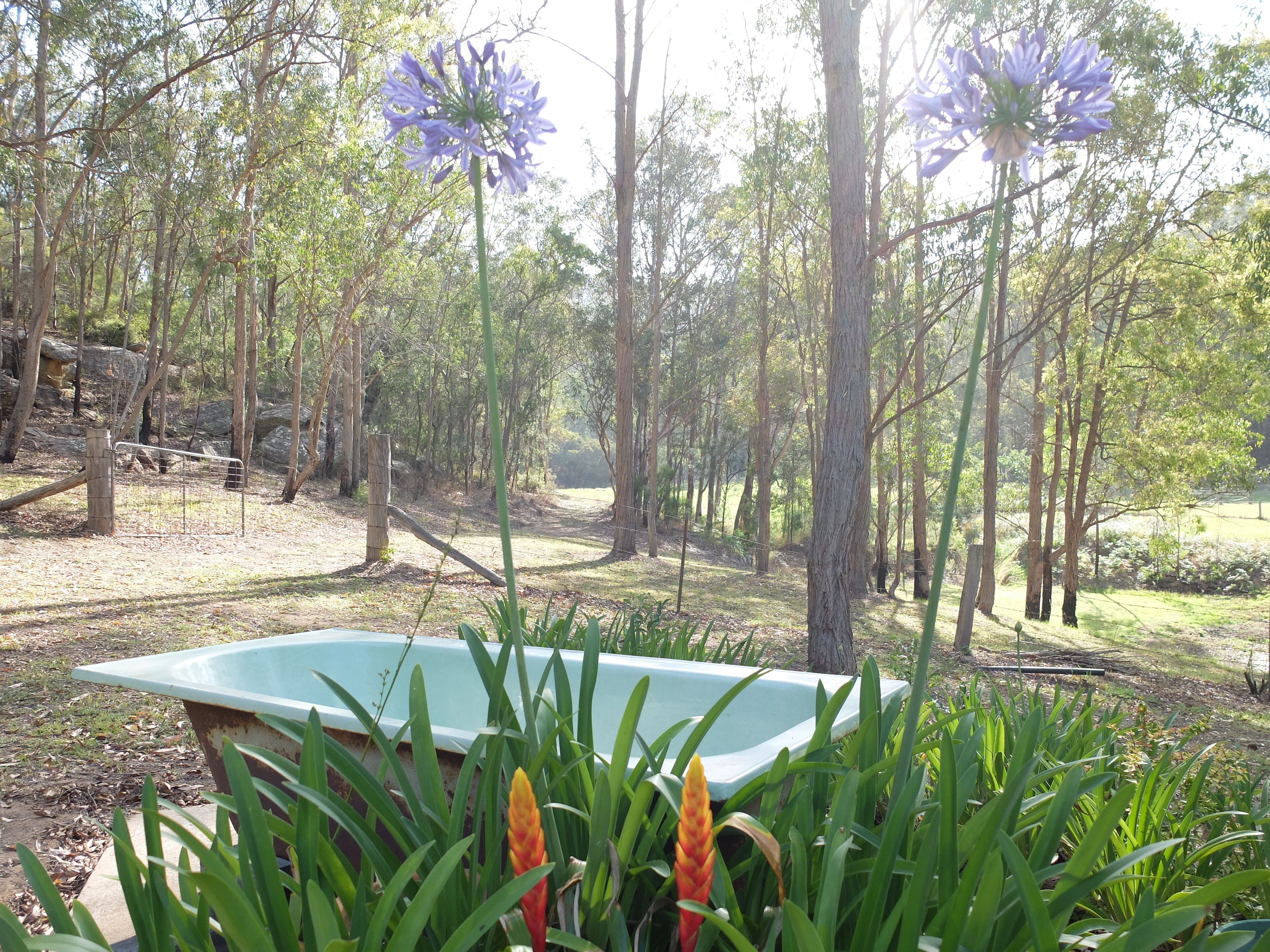Secluded escape in Historic Wollombi — image 29