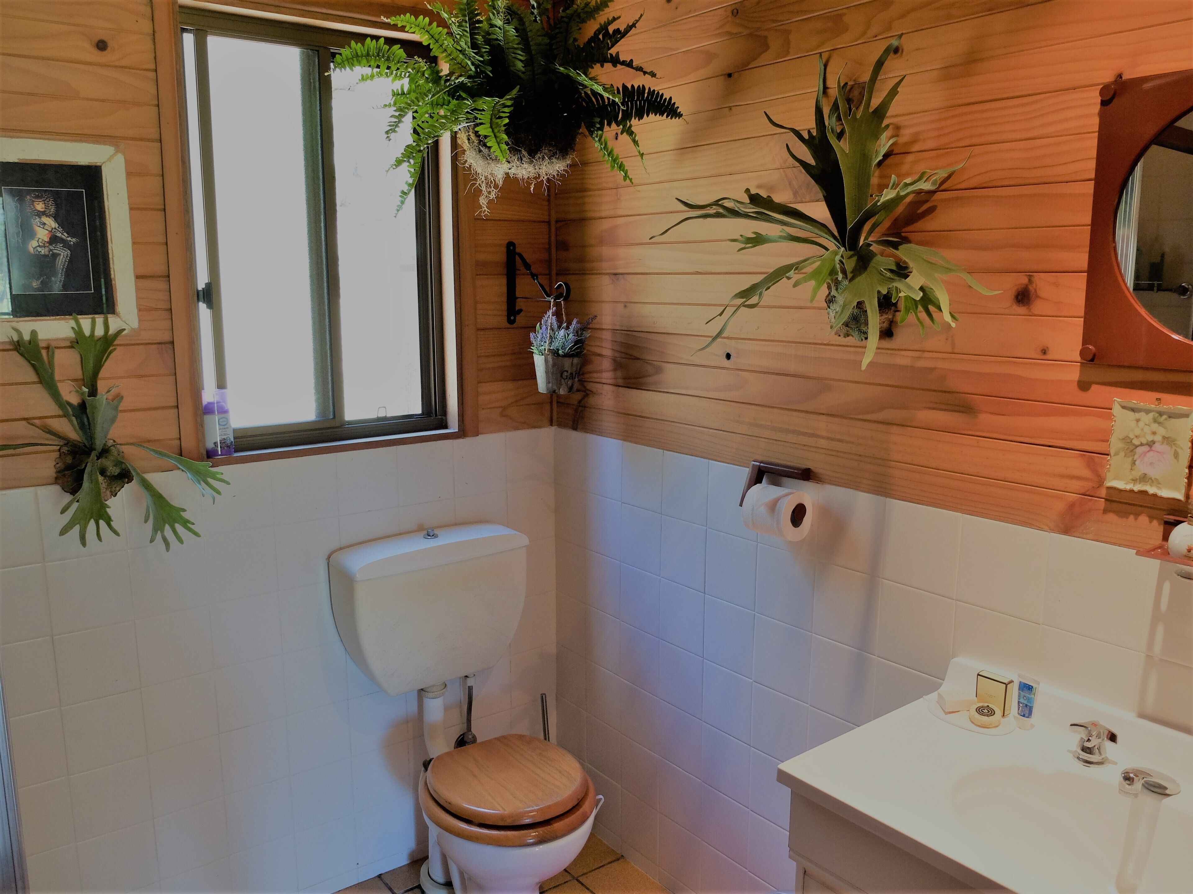 Secluded escape in Historic Wollombi — image 23