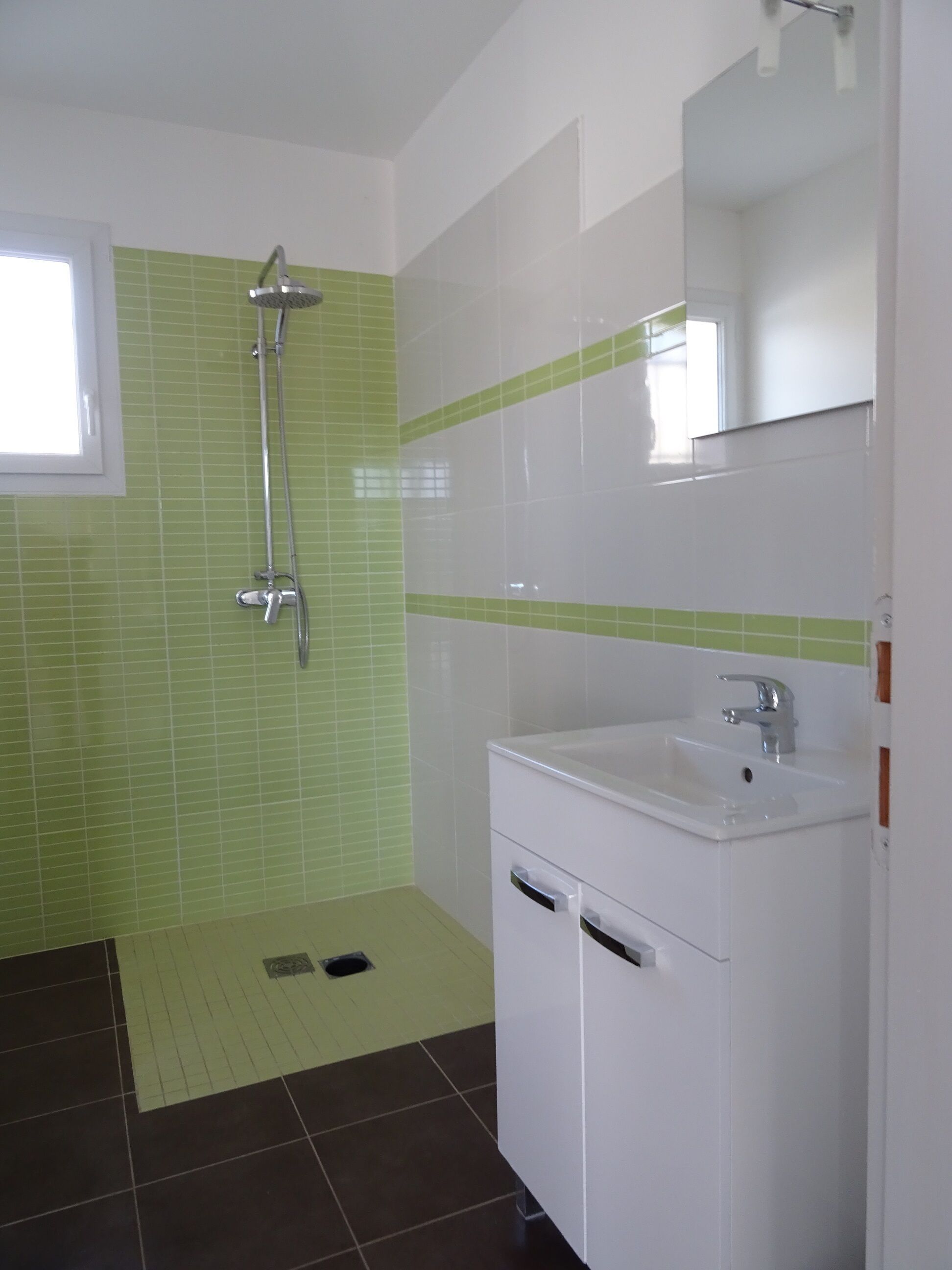 Une salle de bain avec une douche, un lavabo et un miroir.