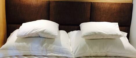 豪華開放式客房, 1 張標準雙人床和 1 張沙發床, 公園景觀 | 加床