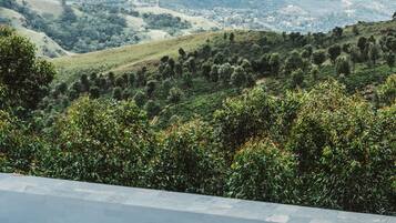 Piscina externa, funciona das 6h às 18h, espreguiçadeiras