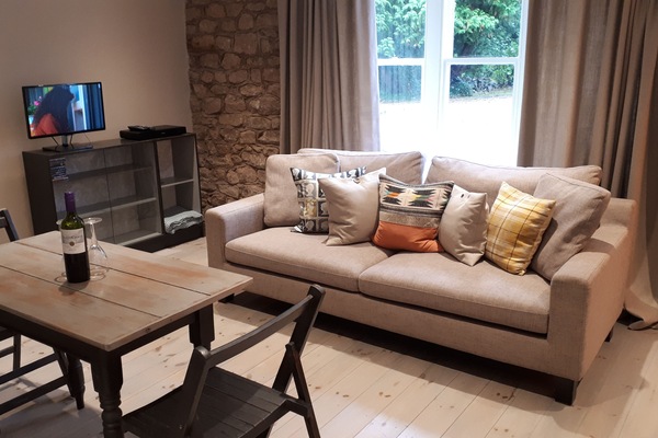 Duplex Apartment | Living area | 20-inch LCD TV with digital channels, TV