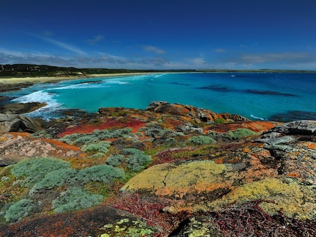 On the beach. 3.5 star, King Island Accommodation, across Sea Elephant Bay. Naracoopa.