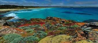 3.5 star, King Island Accommodation, across Sea Elephant Bay. Naracoopa.