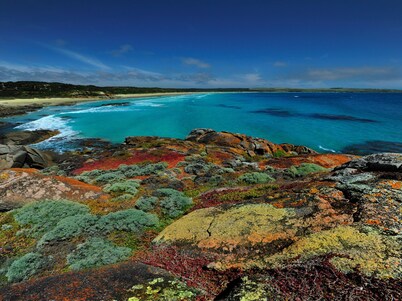 3.5 star, King Island Accommodation, across Sea Elephant Bay. Naracoopa.