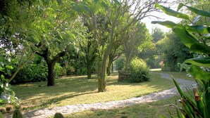 Un jardin avec un chemin de pierres, des arbres et un mur de pierres.