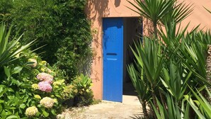 Un chemin menant à une porte bleue, entourée d’une végétation luxuriante et de plantes en fleurs.