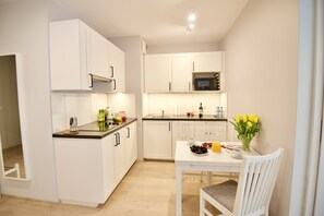 Comfort Apartment (38) | Private kitchenette | Fridge, microwave, stovetop, dishwasher - Kraków Apartments - Solna Studio (Kraków)