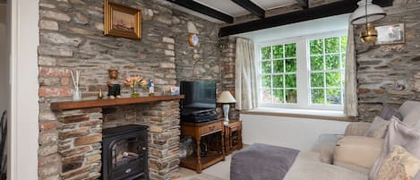 TV, fireplace