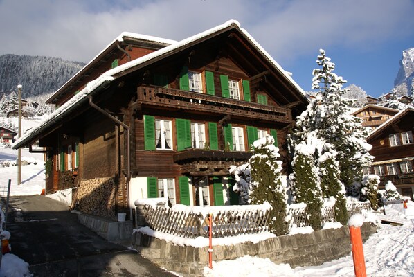 A wooden chalet with green shutters, a stone wall, and a snow-covered tree in front.