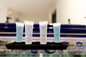 Habitación con 1 cama doble o 2 individuales (Velux Only, No Window) | Baño | Toallas